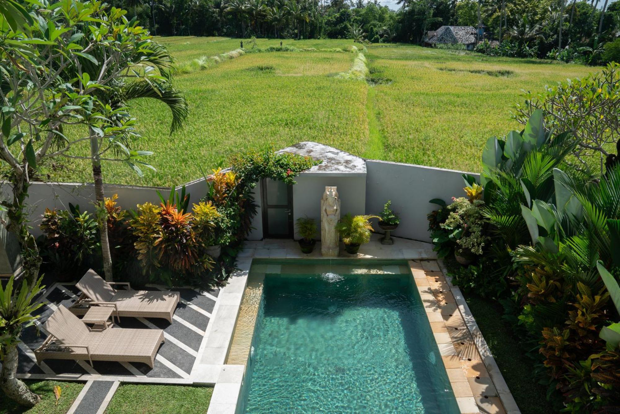 Ananditha Ricefield Views Pousada