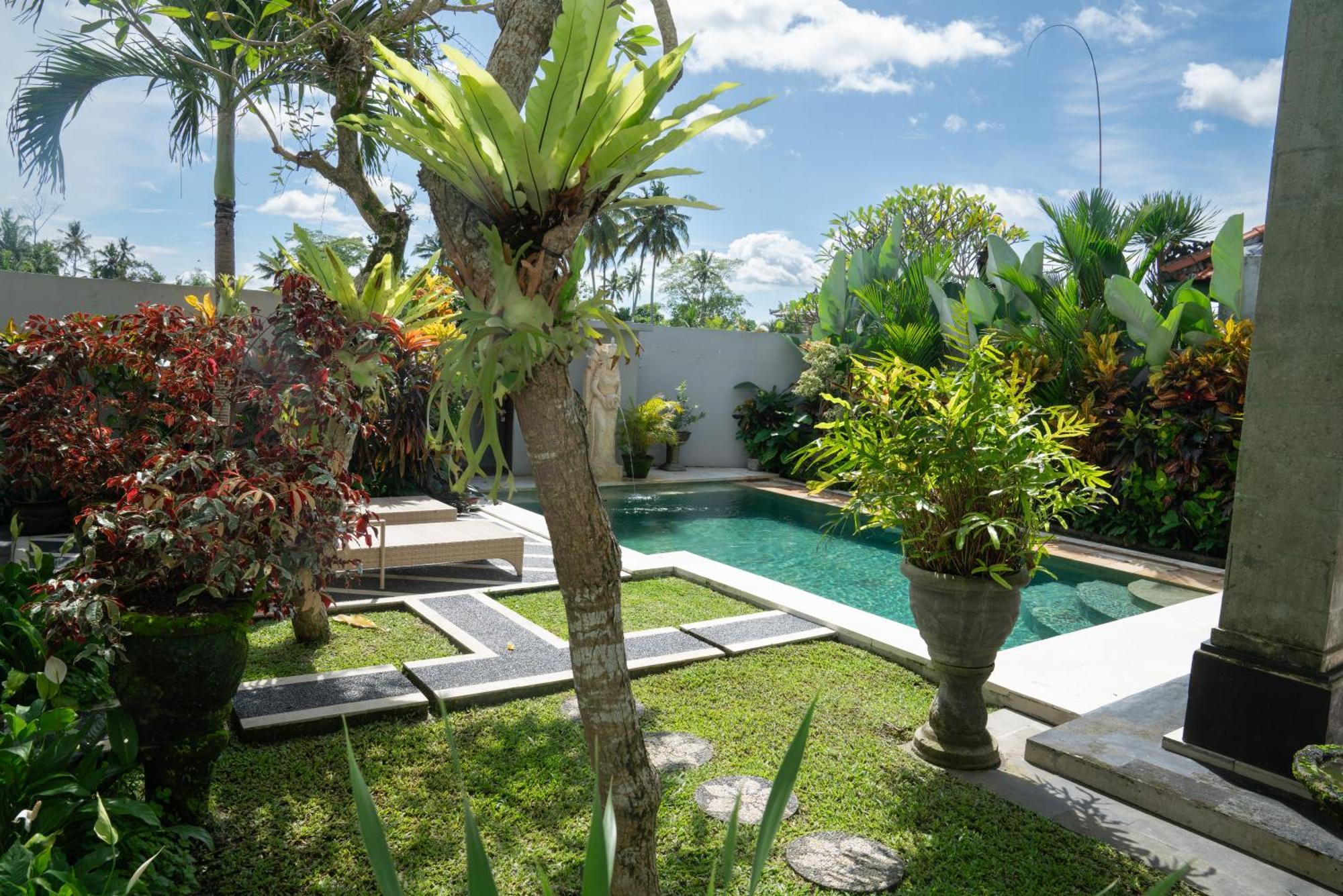 Ananditha Ricefield Views Ubud